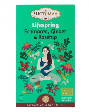 Tea "Spring of Life" with echinacea, ginger and rose hips - organic