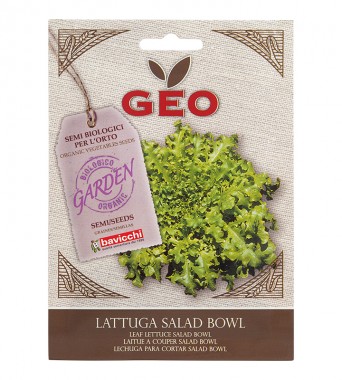 Organic Seeds - Leaf Lettuce Salad Bowl - 4.5g
